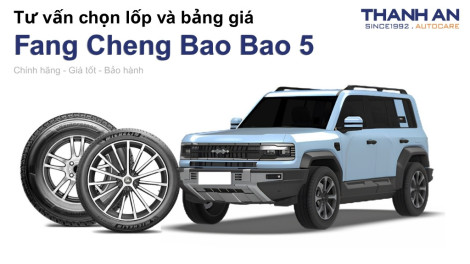 fang-cheng-bao-bao-5-nen-thay-lop-gi-chi-phi-bao-nhieu