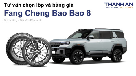 fang-cheng-bao-bao-8-nen-thay-lop-gi-chi-phi-bao-nhieu
