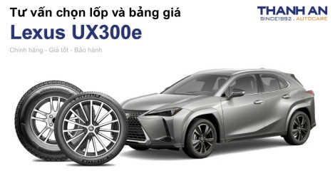 lexus-ux300e-nen-thay-lop-gi-chi-phi-bao-nhieu
