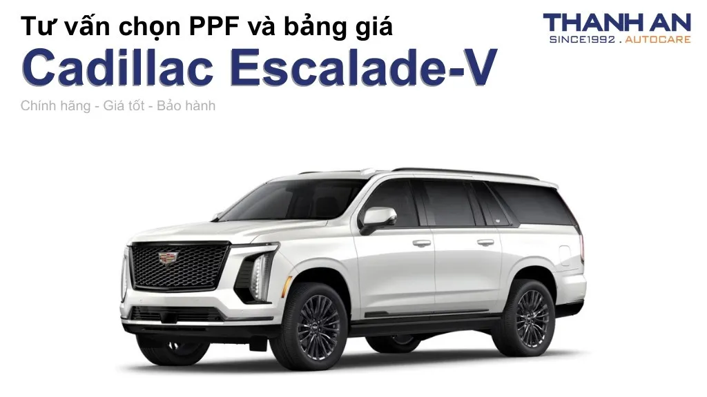 Dán PPF xe Cadillac Escalade-V loại nào tốt? Bảng giá mới nhất