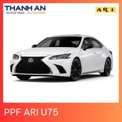 dan ppf xe ô tô  uy tin tai thanh an quận 7 hcm
