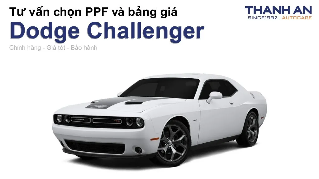Dán PPF xe Dodge Challenger loại nào tốt? Bảng giá mới nhất