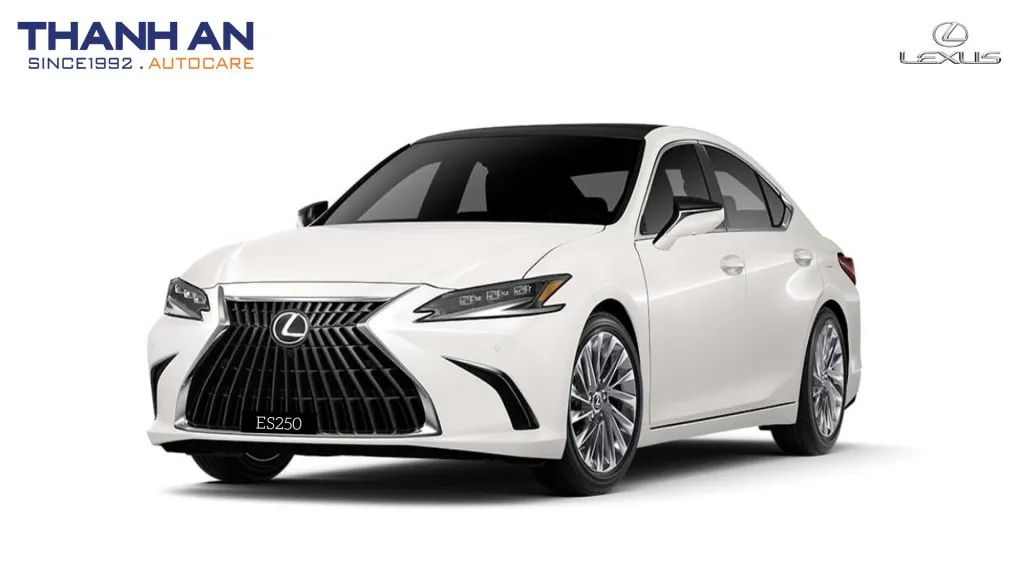 Phụ tùng và phụ kiện xe Lexus ES 250