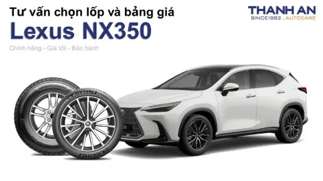 lexus-nx350-nen-thay-lop-gi-chi-phi-bao-nhieu