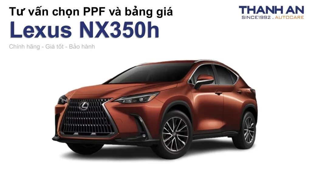 Dán PPF xe Lexus NX350h loại nào tốt? Bảng giá mới nhất