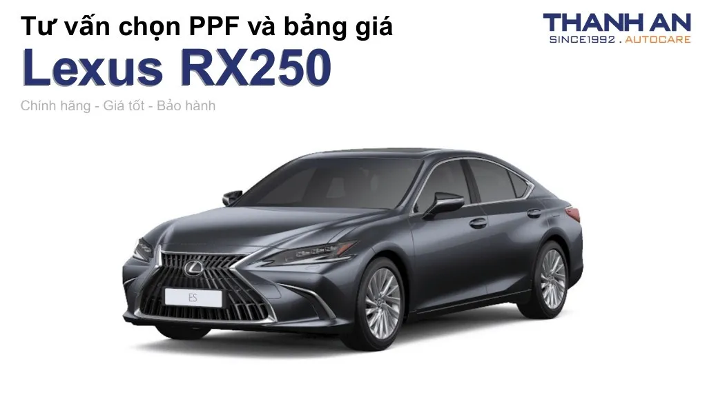 Dán PPF xe Lexus RX250 loại nào tốt? Bảng giá mới nhất