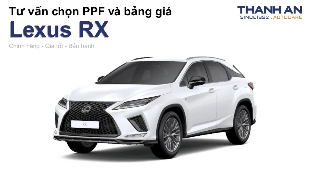 Dán PPF xe Lexus RX loại nào tốt? Bảng giá mới nhất