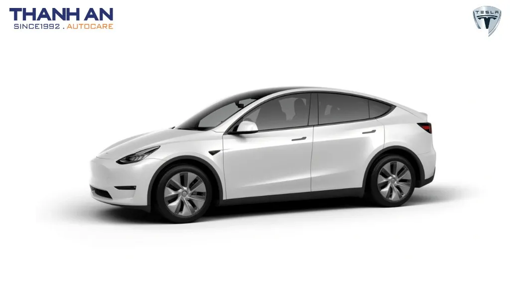 Phụ tùng và phụ kiện xe Tesla Model Y