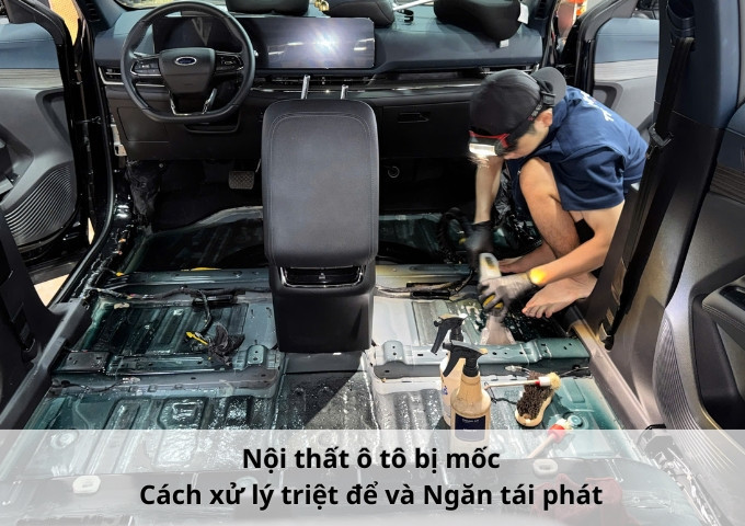 Nội thất ô tô bị mốc: Cách xử lý triệt để và Ngăn tái phát