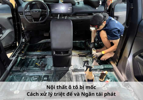 Nội thất ô tô bị mốc: Cách xử lý triệt để và Ngăn tái phát
