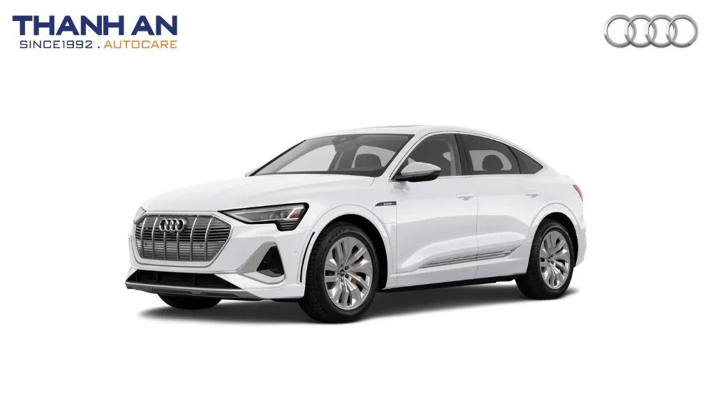Phụ tùng và phụ kiện xe Audi e-tron S Sportback