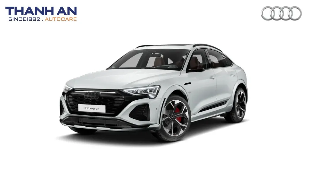 Phụ tùng và phụ kiện xe Audi SQ8 e-tron