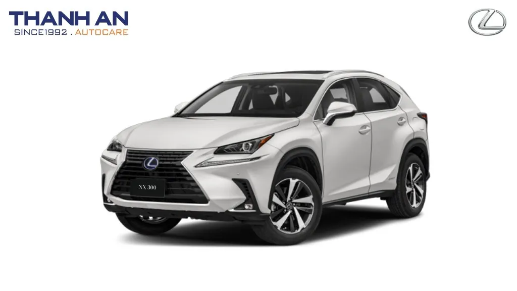 Phụ tùng và phụ kiện xe Lexus NX300
