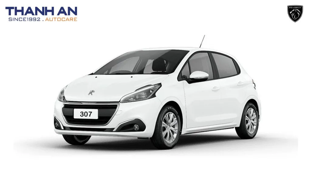 Phụ tùng và phụ kiện xe Peugeot 307
