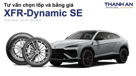 xfr-dynamic-se-nen-thay-lop-gi-chi-phi-bao-nhieu