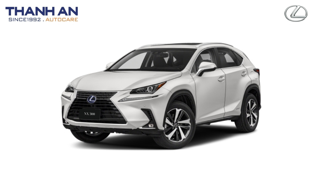 lexus-nx300-nen-thay-lop-gi-chi-phi-bao-nhieu